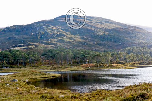 Glen Cannich Scotland DM2122